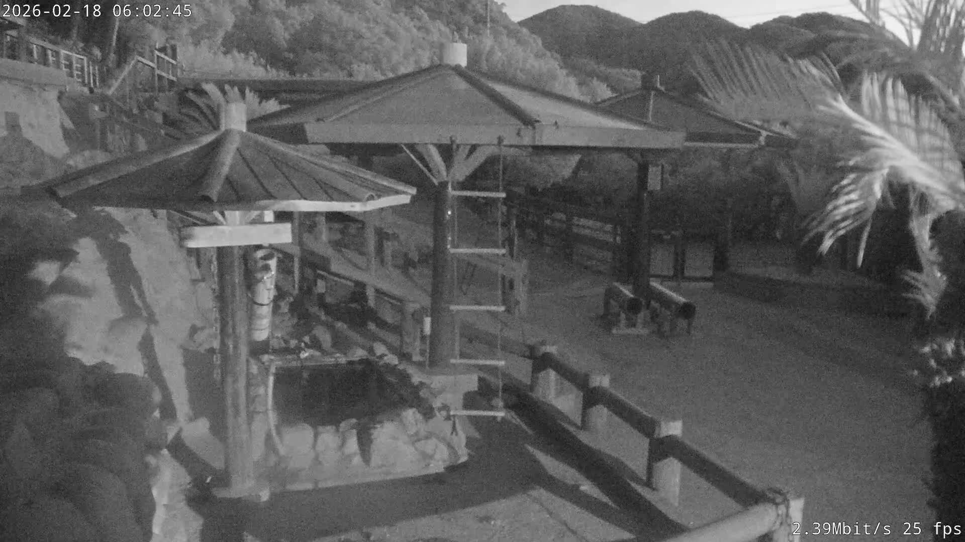 Awaji Island, Awaji Monkey Center ( 淡路島モンキーセンター) Live Cam - Hatadagumi, Sumoto Shi, Hyogo, Kansai,  Japan