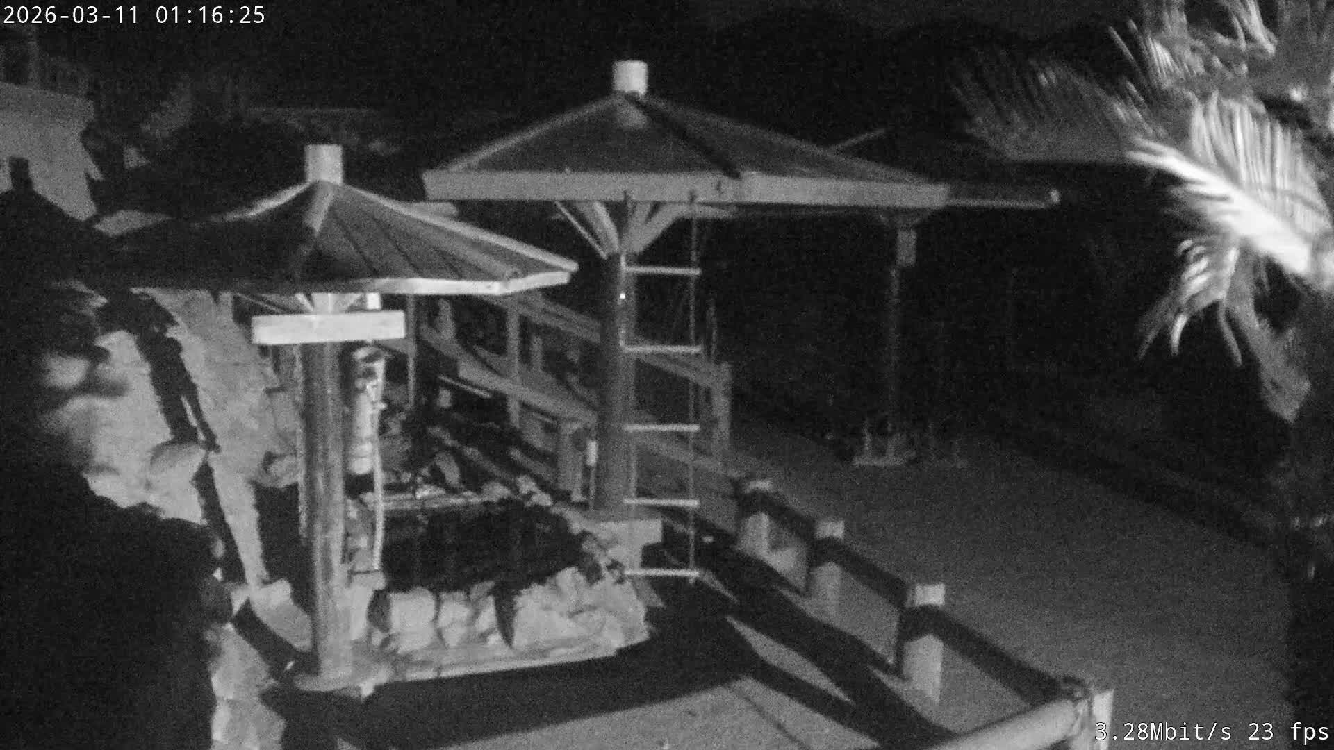 Awaji Island, Awaji Monkey Center ( 淡路島モンキーセンター) Live Cam - Hatadagumi, Sumoto Shi, Hyogo, Kansai,  Japan