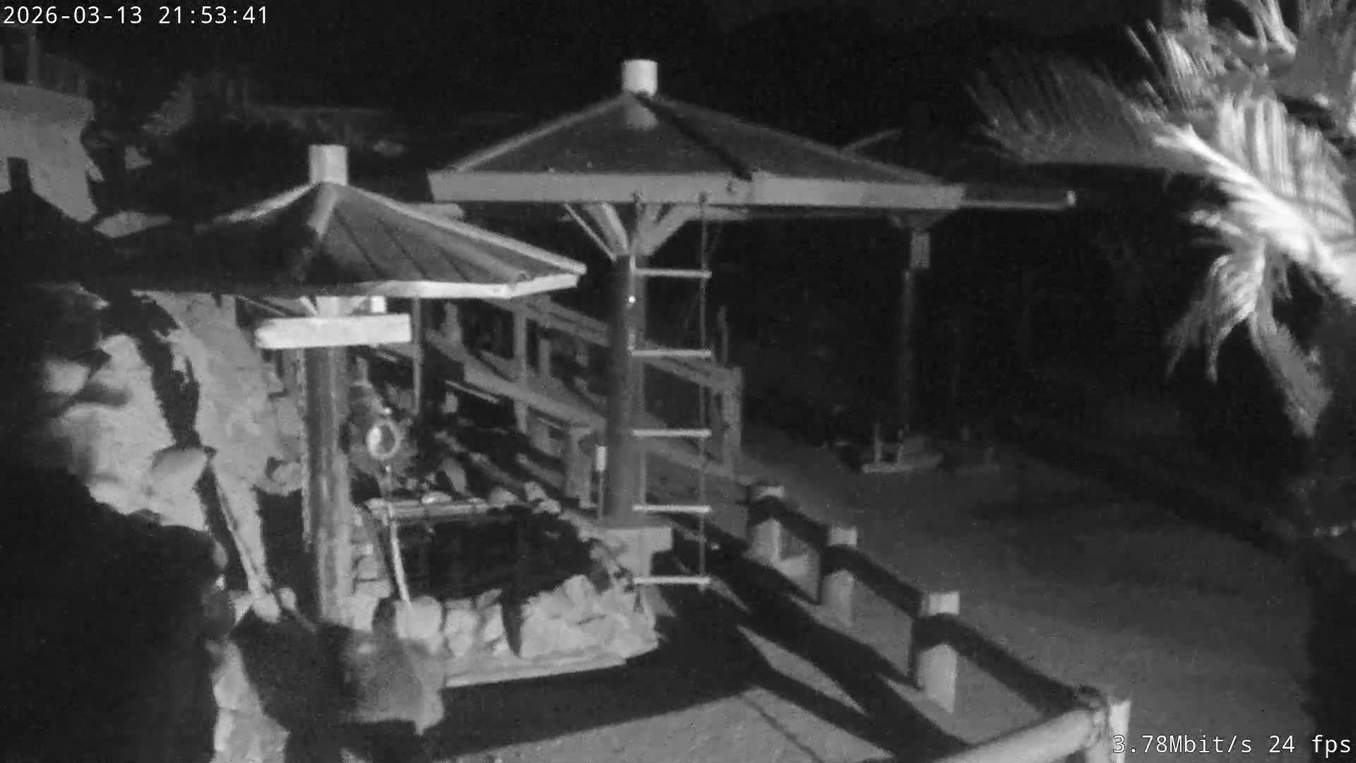 Awaji Island, Awaji Monkey Center ( 淡路島モンキーセンター) Live Cam - Hatadagumi, Sumoto Shi, Hyogo, Kansai,  Japan