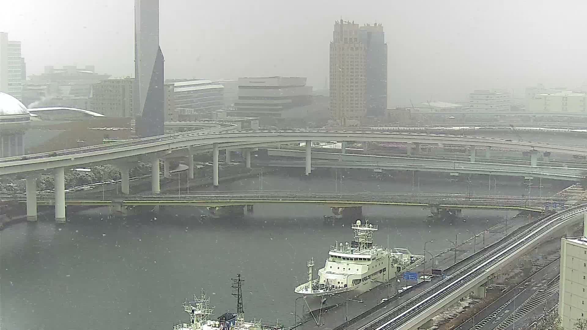 Tokyo, Ariake Island /Tokyo Bay & Tokyo Gate Bridge View ( 東京・有明島・東京湾・東京ゲートブリッジ ) Live Cam - Daiba, Odaiba, Minato-ku, Tokyo, Kantō, Honshu, Japan