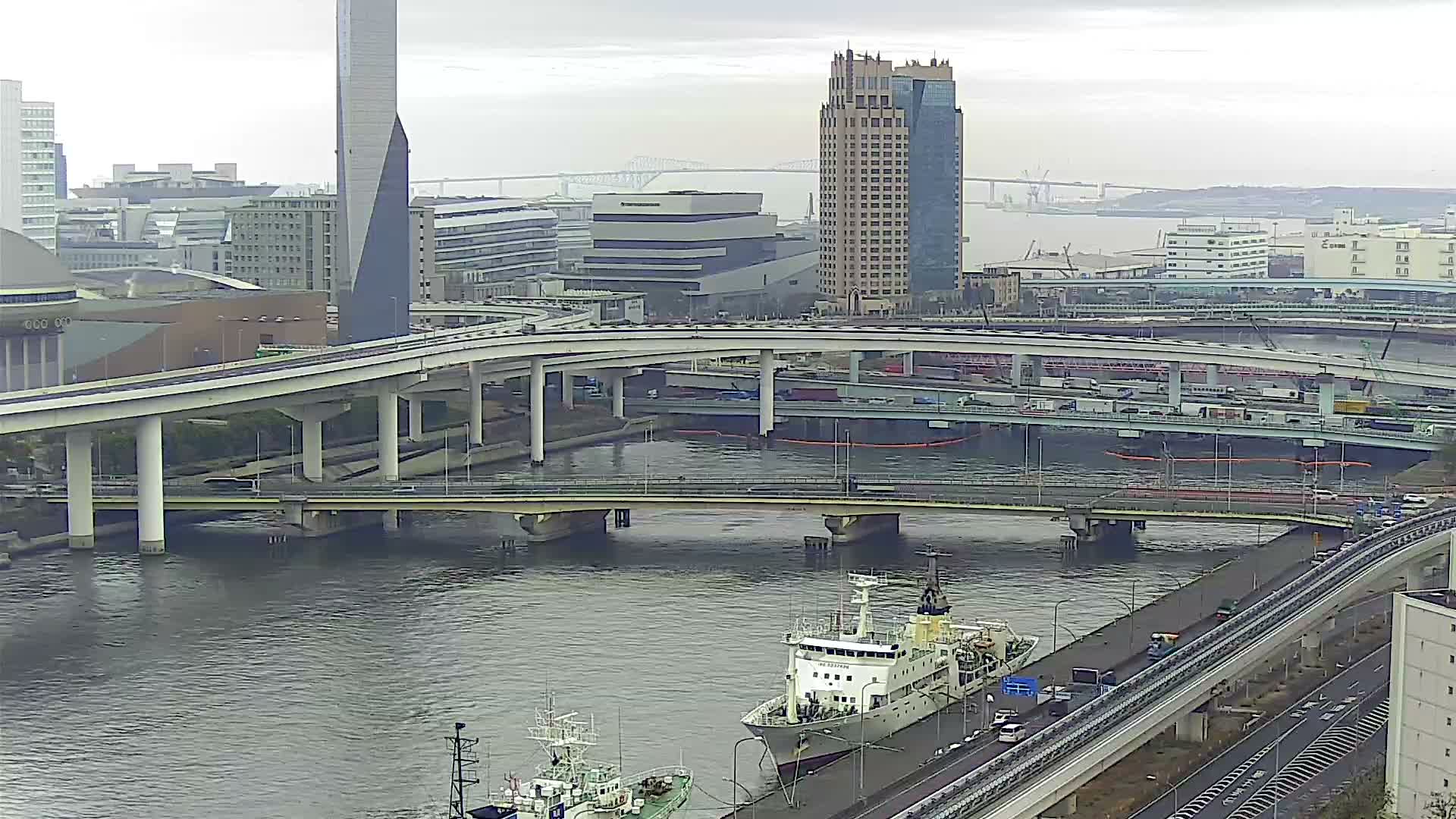 Tokyo, Ariake Island /Tokyo Bay & Tokyo Gate Bridge View ( 東京・有明島・東京湾・東京ゲートブリッジ ) Live Cam - Daiba, Odaiba, Minato-ku, Tokyo, Kantō, Honshu, Japan