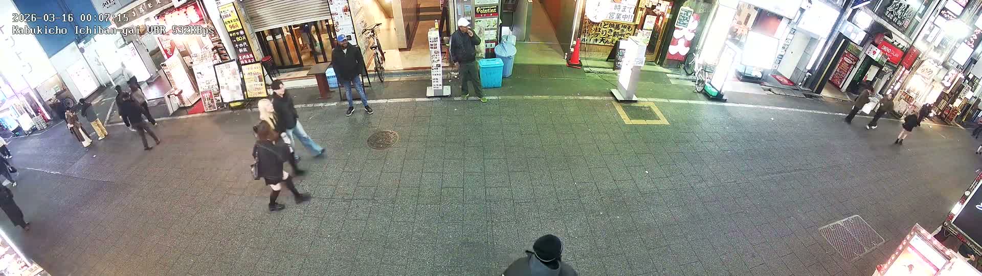 Tokyo, Shinjuku Kabukicho Ichiban-gai Street  (東京 新宿 歌舞伎町一番街通り) Live Cam - Kabukichō, Shinjuku-ku, Tokyo, Kantō, Honshu, Japan
