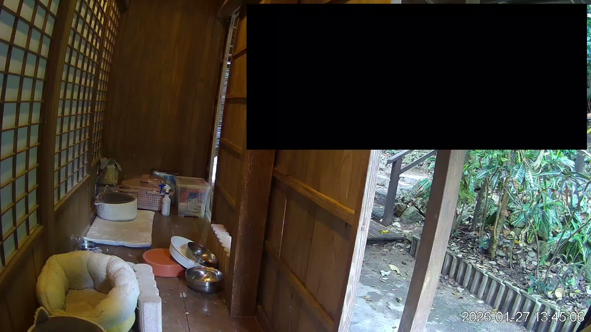 Okinawa Island, Motobu, Bise Village Cat Life ( 沖縄本島 本部町 備瀬村 猫ライフ ) Live Cam - Bise, Motobu, Kunigami, Okinawa, Kyushu, Japan