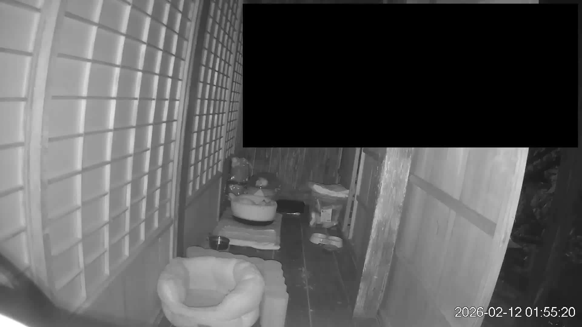 Okinawa Island, Motobu, Bise Village Cat Life ( 沖縄本島 本部町 備瀬村 猫ライフ ) Live Cam - Bise, Motobu, Kunigami, Okinawa, Kyushu, Japan