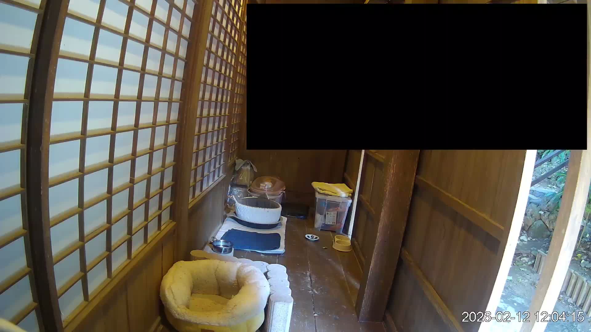 Okinawa Island, Motobu, Bise Village Cat Life ( 沖縄本島 本部町 備瀬村 猫ライフ ) Live Cam - Bise, Motobu, Kunigami, Okinawa, Kyushu, Japan