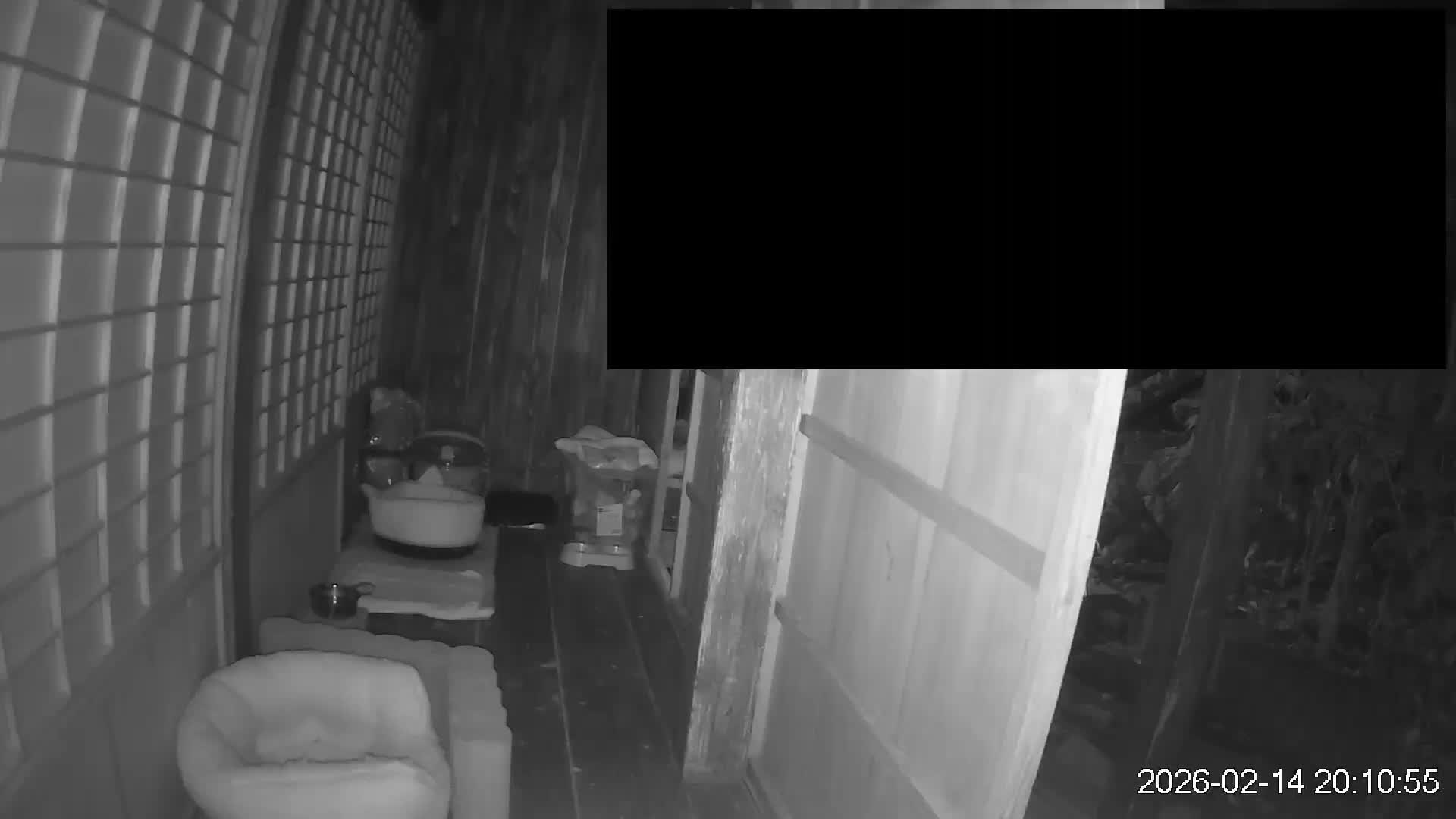 Okinawa Island, Motobu, Bise Village Cat Life ( 沖縄本島 本部町 備瀬村 猫ライフ ) Live Cam - Bise, Motobu, Kunigami, Okinawa, Kyushu, Japan