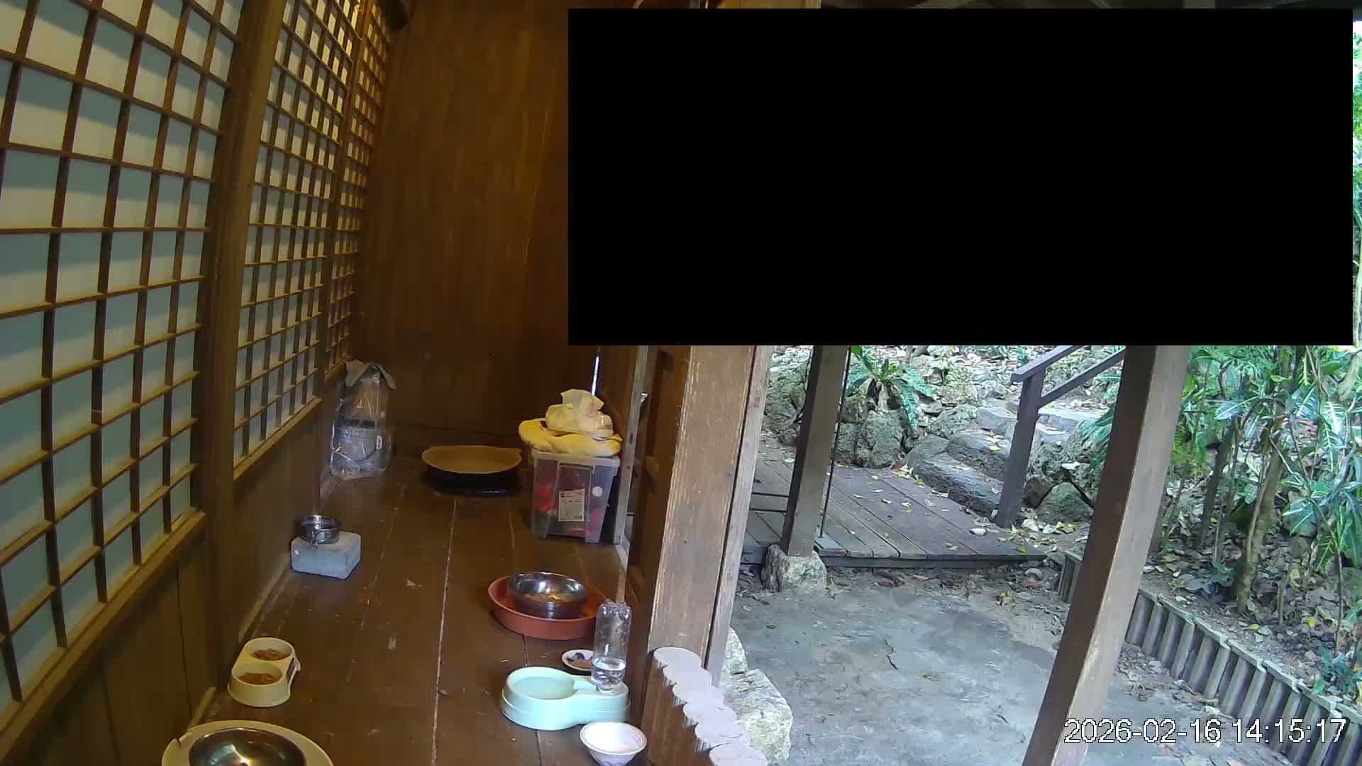 Okinawa Island, Motobu, Bise Village Cat Life ( 沖縄本島 本部町 備瀬村 猫ライフ ) Live Cam - Bise, Motobu, Kunigami, Okinawa, Kyushu, Japan