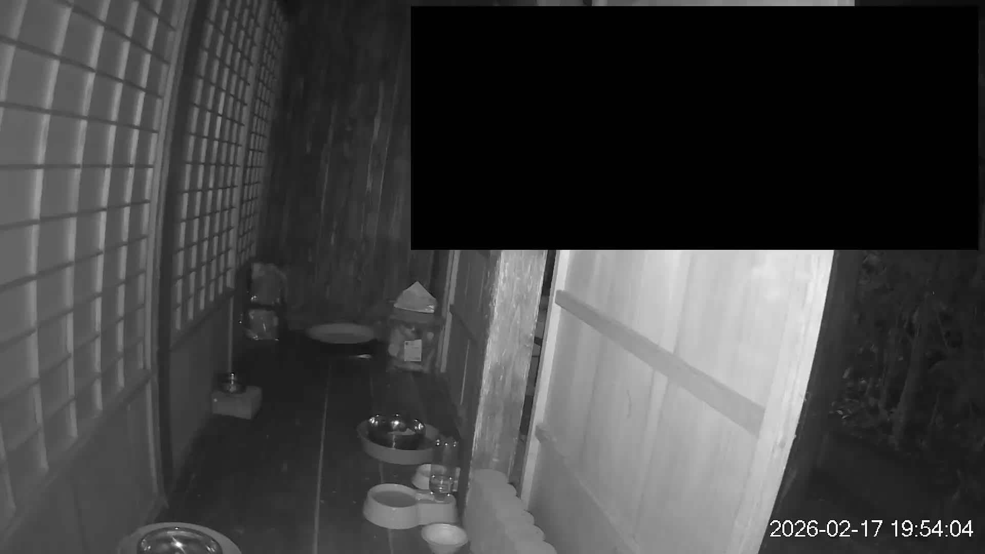 Okinawa Island, Motobu, Bise Village Cat Life ( 沖縄本島 本部町 備瀬村 猫ライフ ) Live Cam - Bise, Motobu, Kunigami, Okinawa, Kyushu, Japan