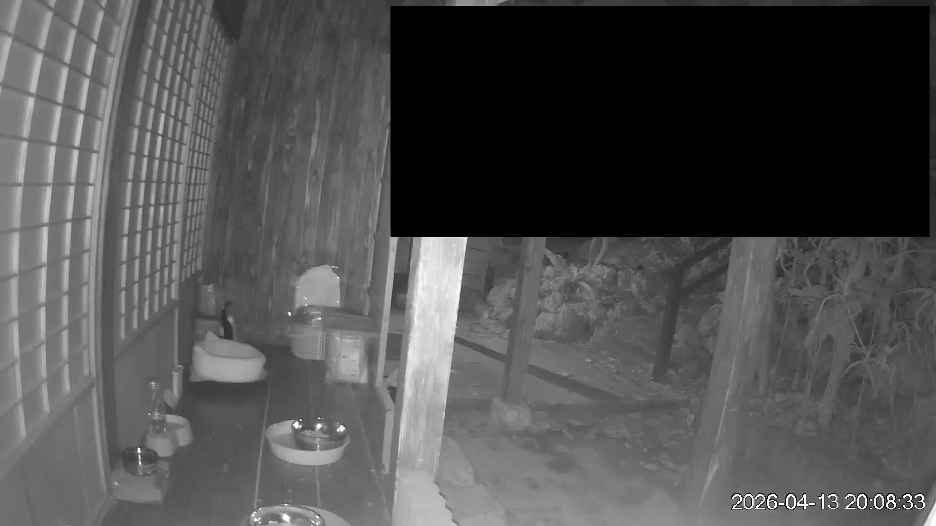 Okinawa Island, Motobu, Bise Village Cat Life ( 沖縄本島 本部町 備瀬村 猫ライフ ) Live Cam - Bise, Motobu, Kunigami, Okinawa, Kyushu, Japan