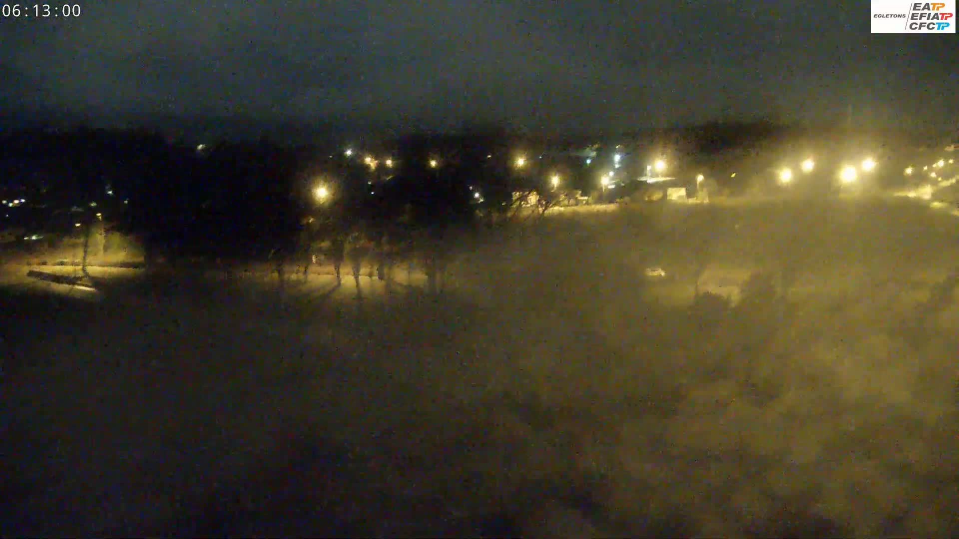A nighttime, hazy view of a sparsely lit area with trees and a road, possibly in a residential or park-like setting.