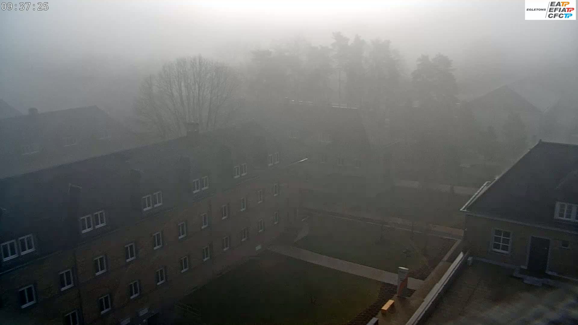 A thick fog obscures a view of several multi-story buildings and trees.