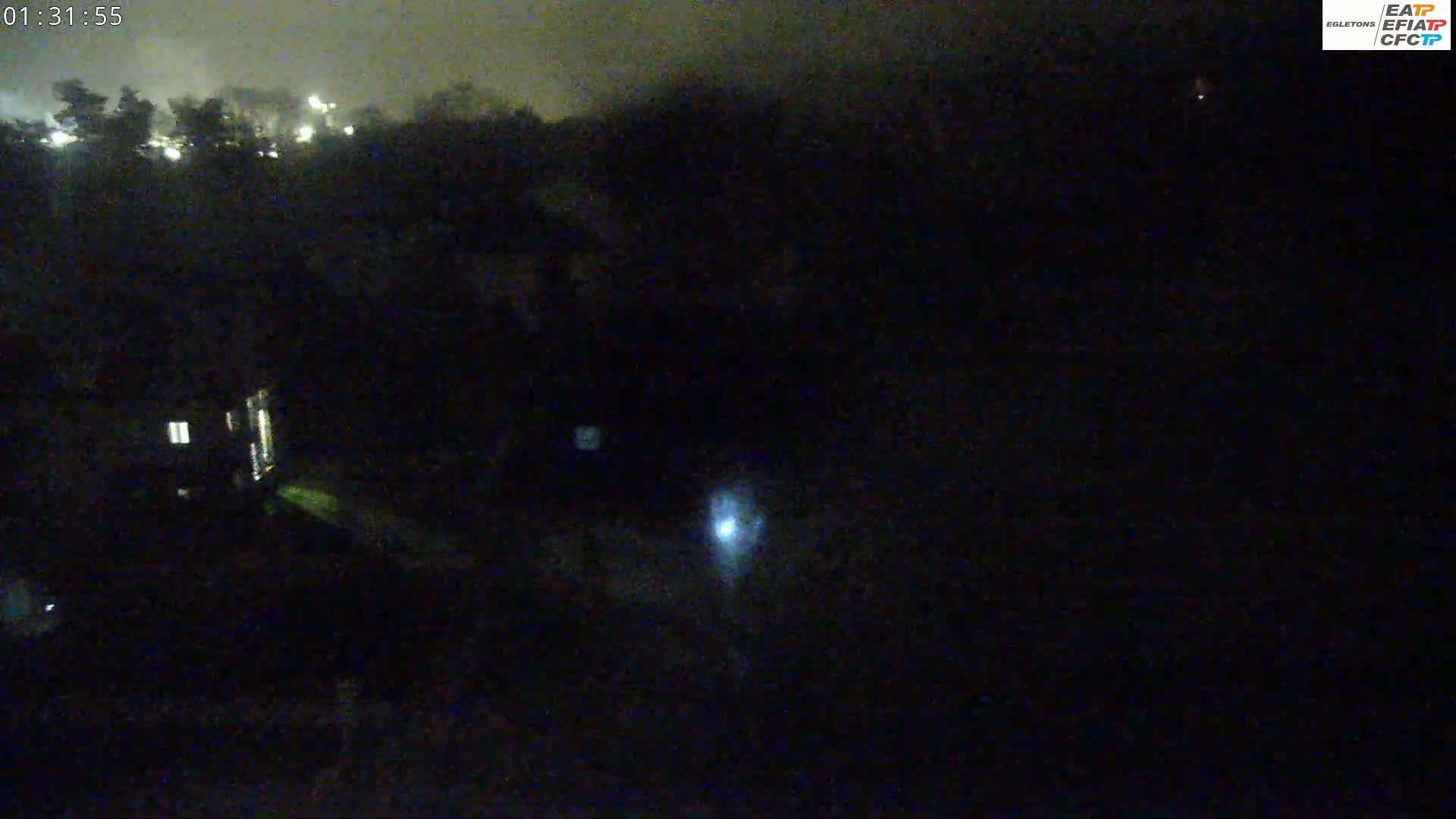 A nighttime, overcast view of dark trees and houses with a few faint lights visible.