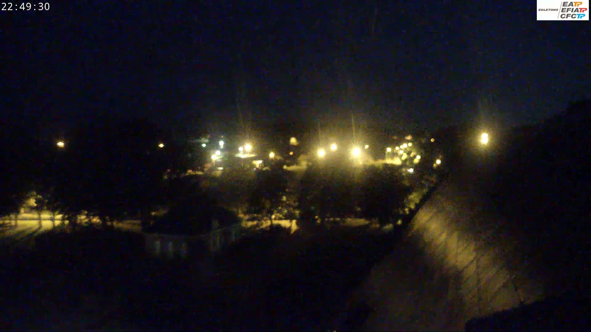 A nighttime view of a dimly lit park or wooded area with distant streetlights visible under a clear, dark sky.