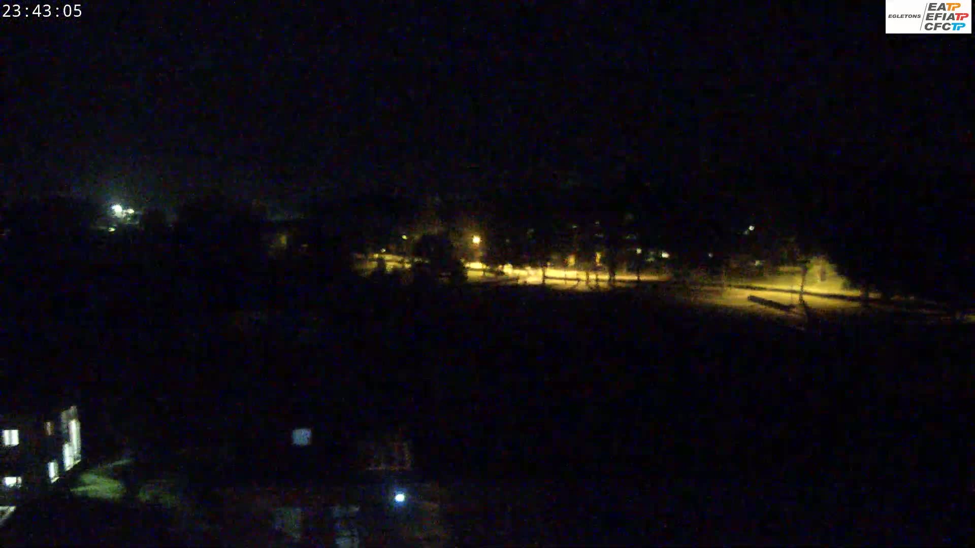 A nighttime, dark outdoor scene shows dimly lit trees and a road with faint streetlights.