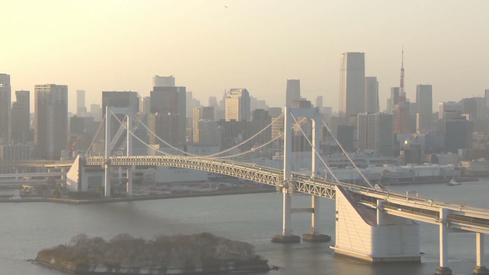 Tokyo PTZ Skyline , Tokyo Bay & Rainbow Bridge Daiba Entrance ( 東京PTZスカイライン、東京湾＆レインボーブリッジ台場入口 )  Live Cam - 2 Chome, Daiba, Odaiba, Minato-ku, Tokyo, Kantō, Honshu, Japan