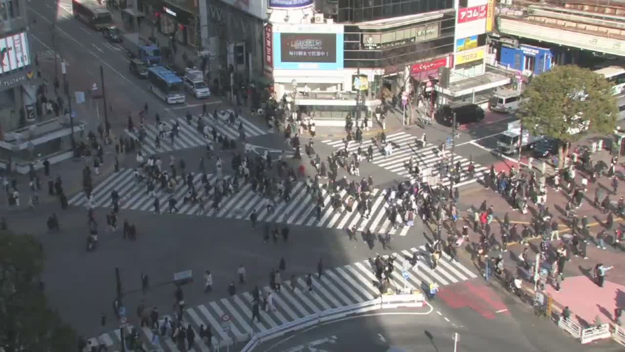 Tokyo, Shibuya Scramble Crossing Live Cam ( 東京、渋谷スクランブル交差点 )  Live Cam - Dogenzaka, Shibuya-ku, Tokyo, Kantō, Honshu, Japan