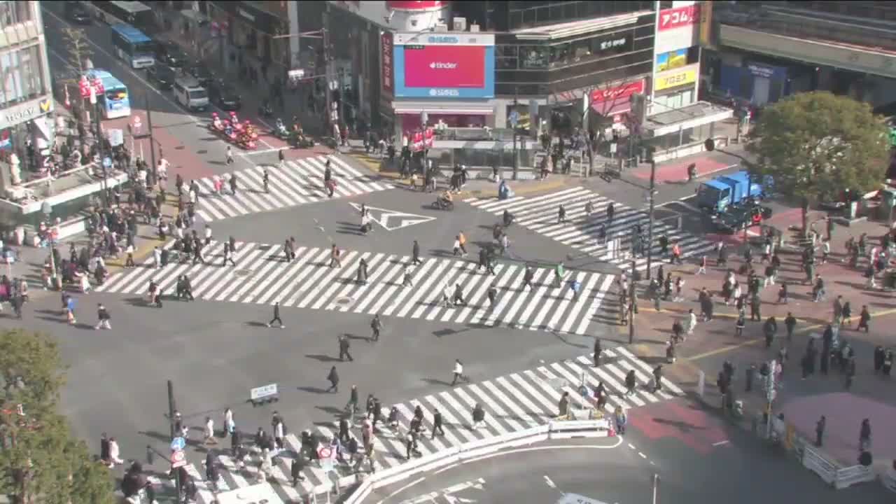 Tokyo, Shibuya Scramble Crossing Live Cam ( 東京、渋谷スクランブル交差点 )  Live Cam - Dogenzaka, Shibuya-ku, Tokyo, Kantō, Honshu, Japan
