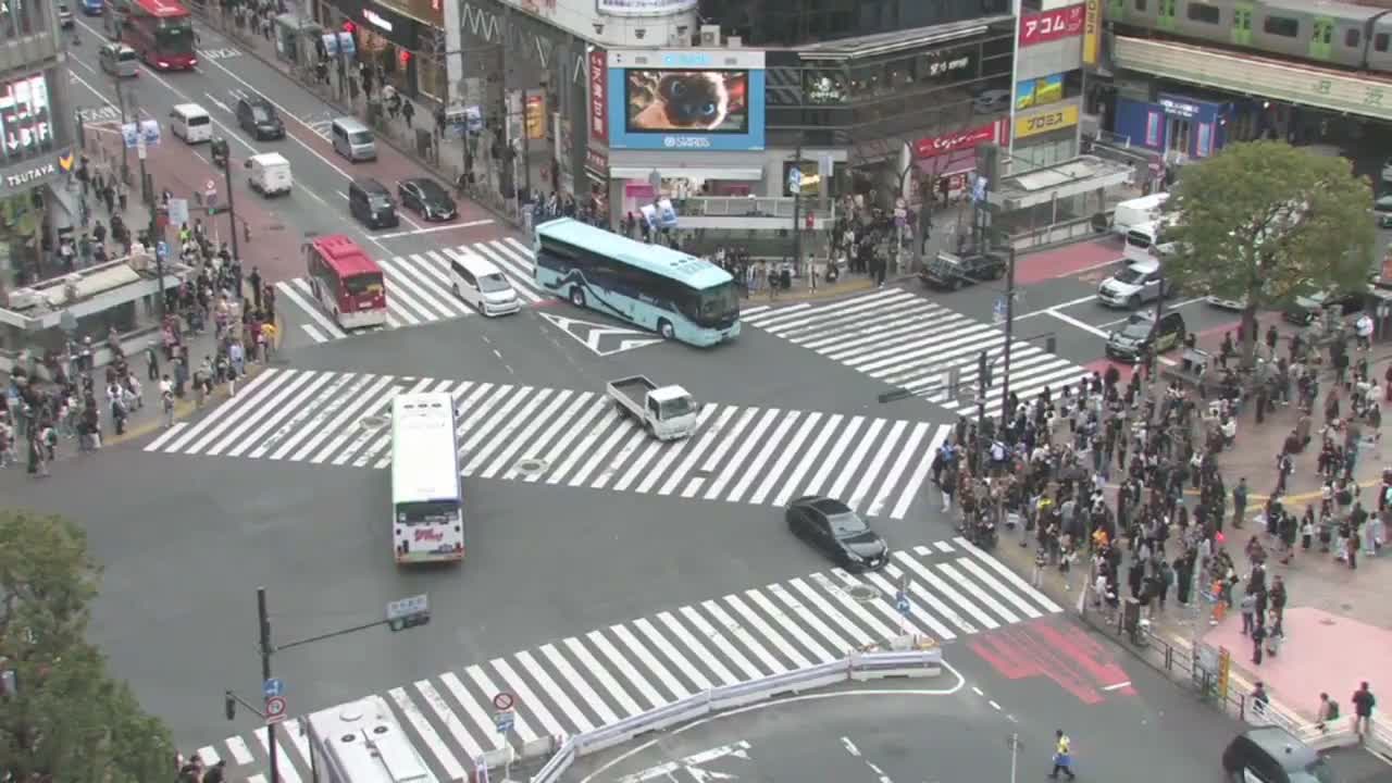 Tokyo, Shibuya Scramble Crossing Live Cam ( 東京、渋谷スクランブル交差点 )  Live Cam - Dogenzaka, Shibuya-ku, Tokyo, Kantō, Honshu, Japan