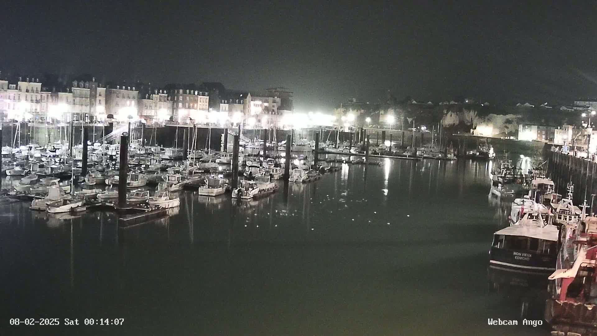 A nighttime harbor filled with numerous boats docked along a waterfront lined with buildings.