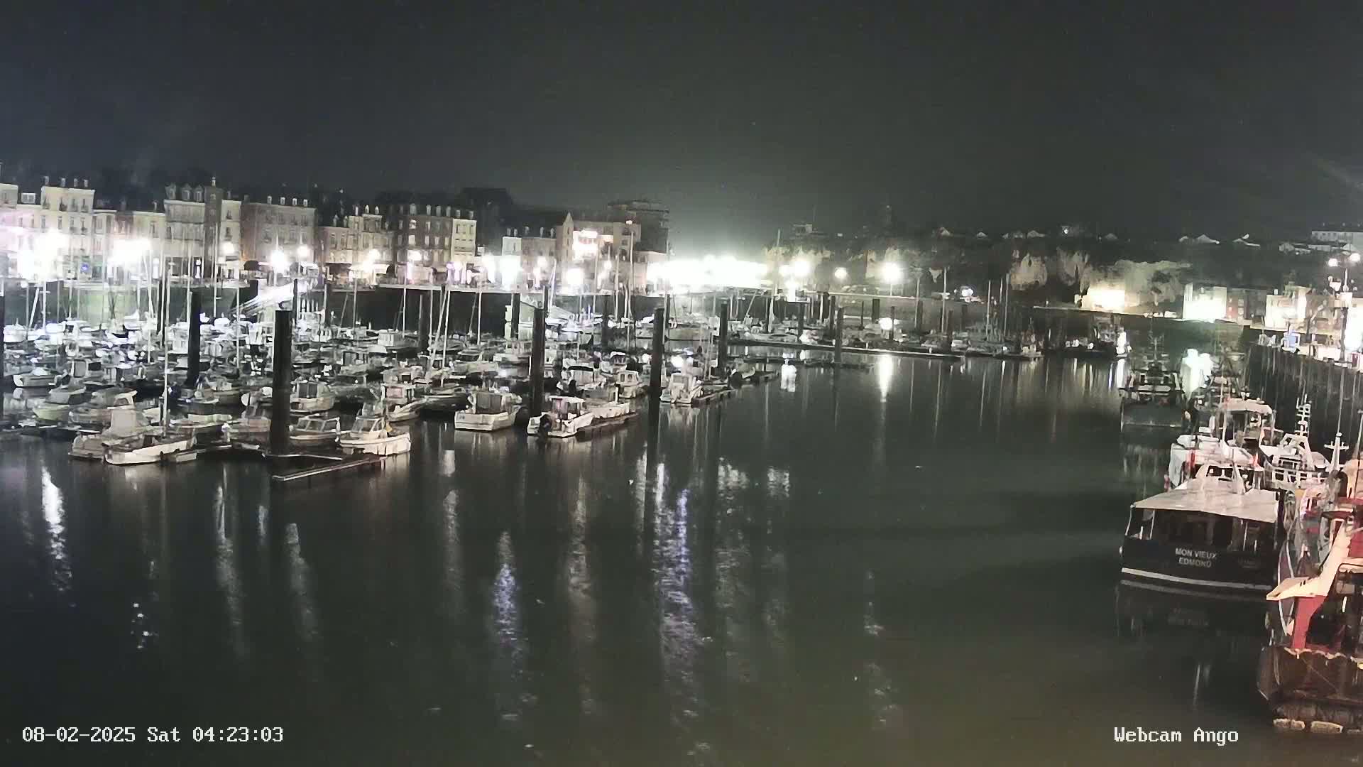 A nighttime view of a harbor filled with numerous boats docked along a waterfront lined with buildings.