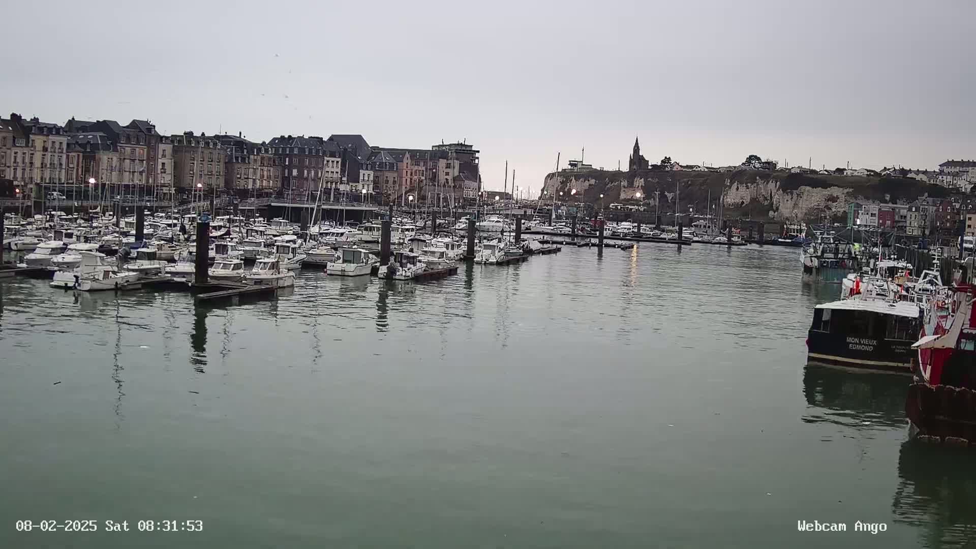 A harbor filled with numerous boats is situated in front of a town under an overcast sky.