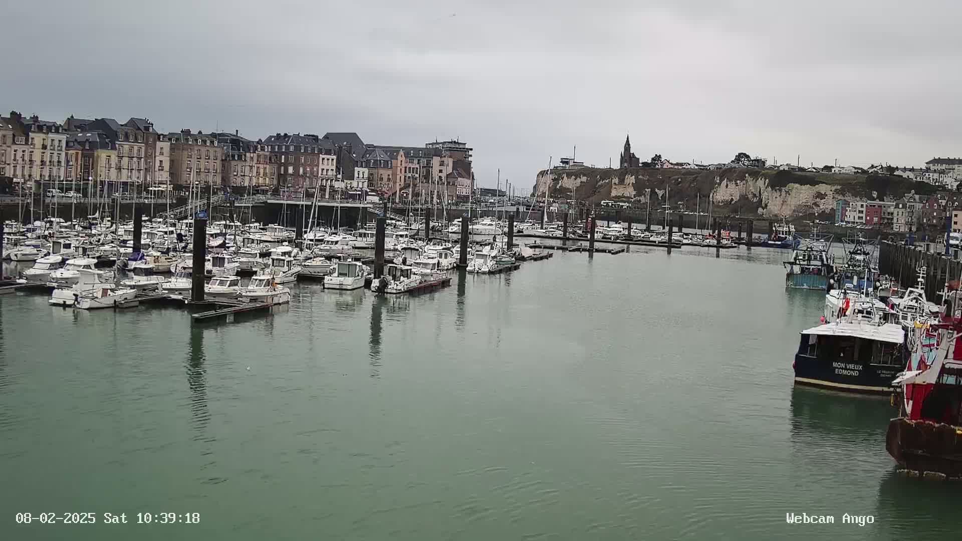A harbor filled with numerous boats is situated in front of a town featuring multi-story buildings and a cliff face under an overcast sky.