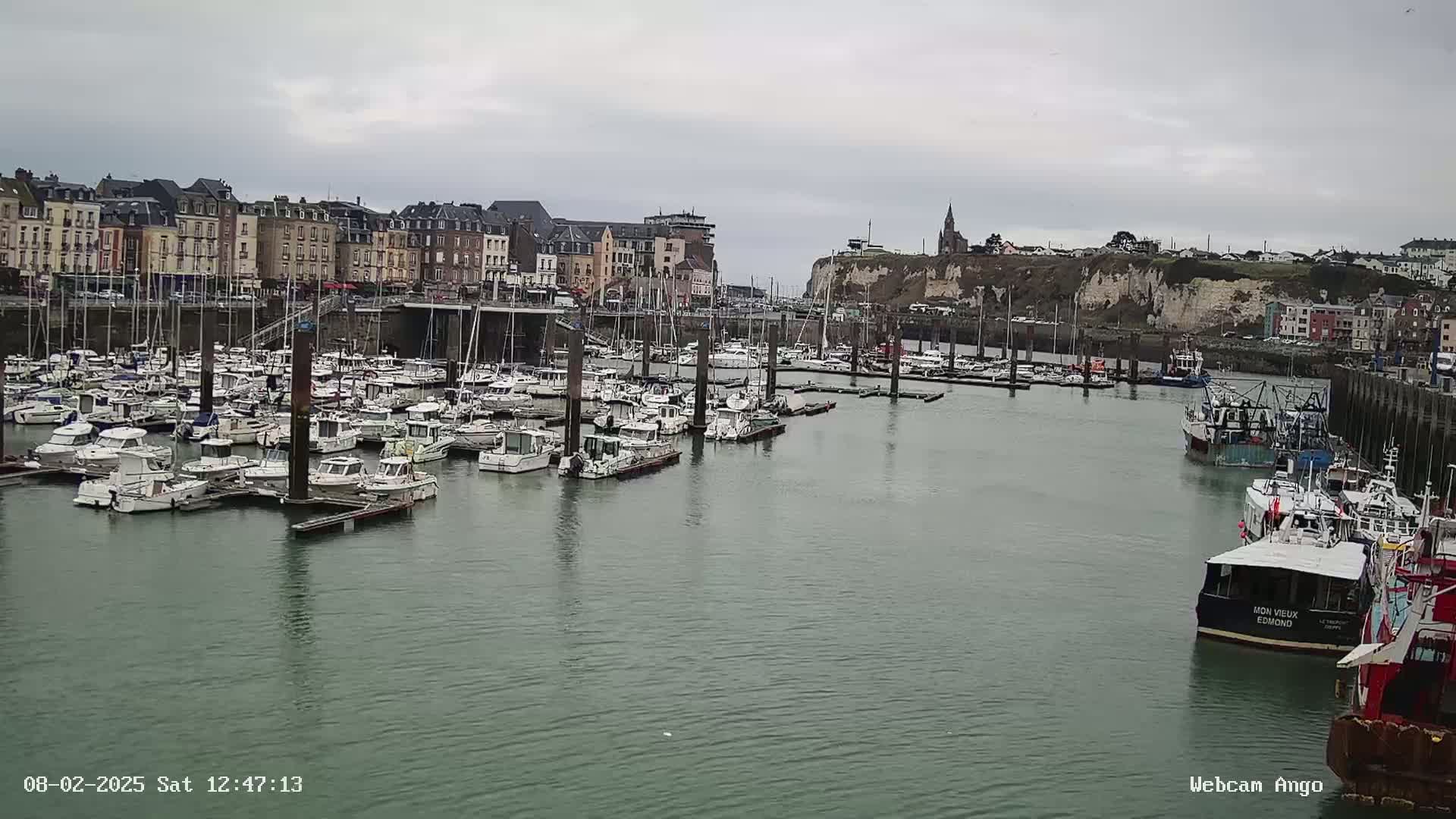 A harbor filled with numerous boats is situated in front of a town with multi-story buildings under an overcast sky.