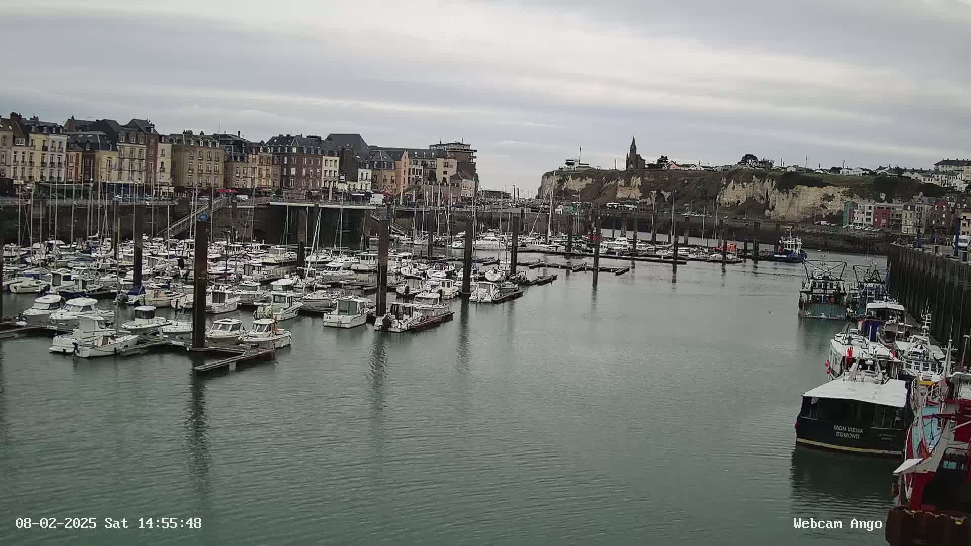 A harbor filled with many docked boats is situated in front of a town with buildings lining the waterfront under an overcast sky.