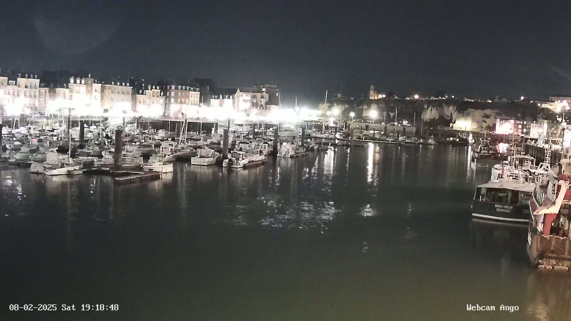 A nighttime view of a harbor filled with numerous boats docked alongside a waterfront lined with buildings under a dark sky.