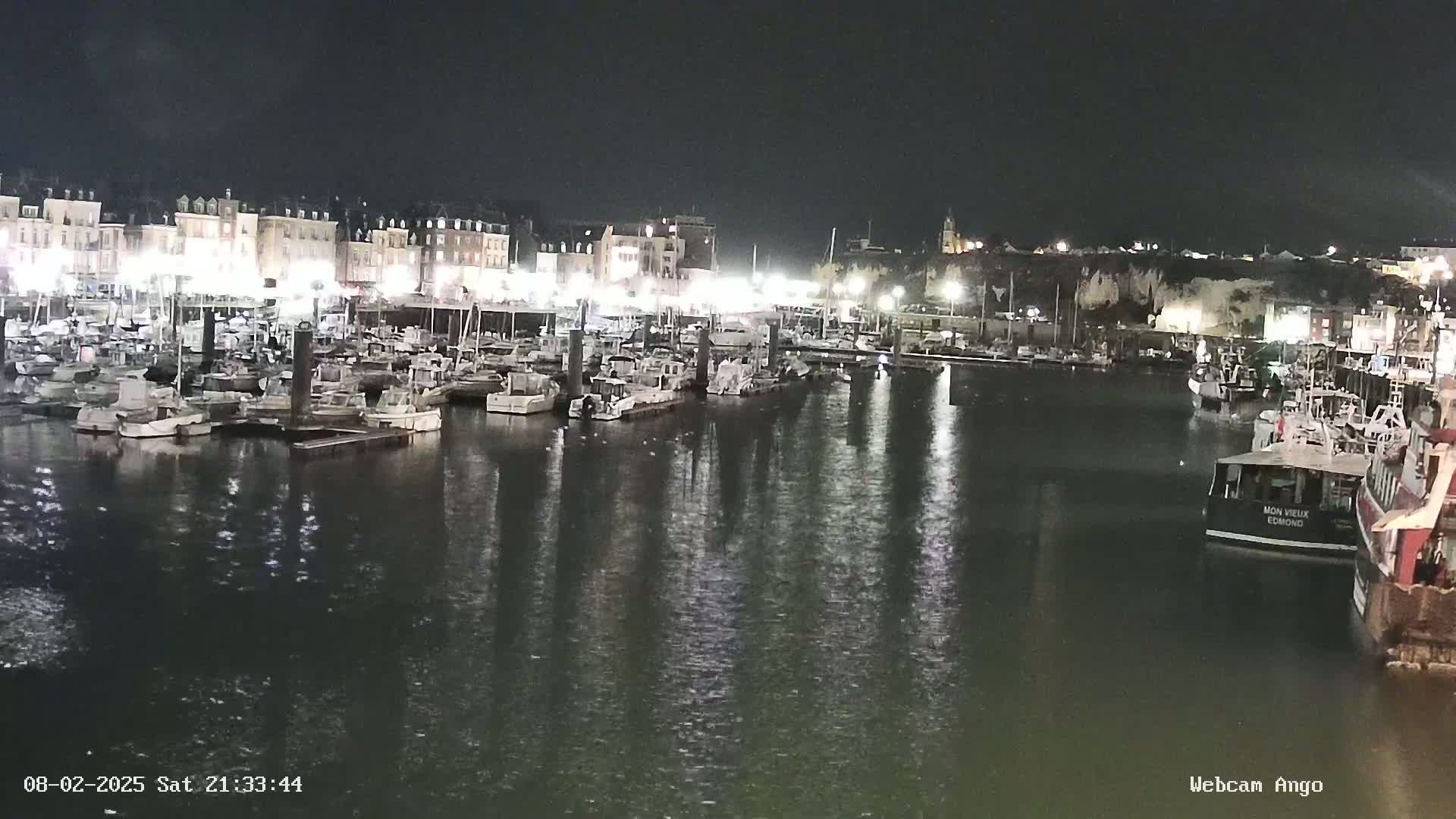 A nighttime view of a harbor filled with many boats moored alongside a waterfront of buildings, under a dark sky.
