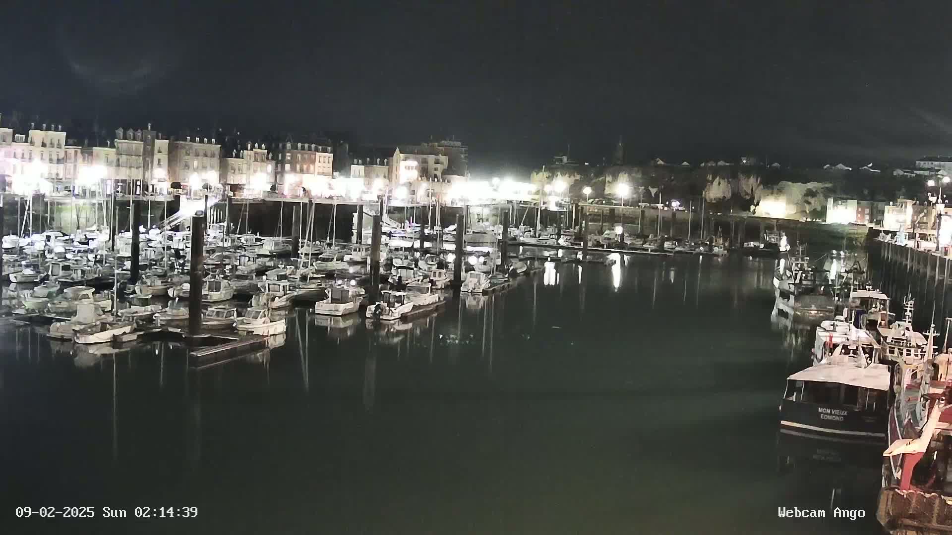 A marina filled with numerous boats is illuminated at night, next to a waterfront town under a dark sky.