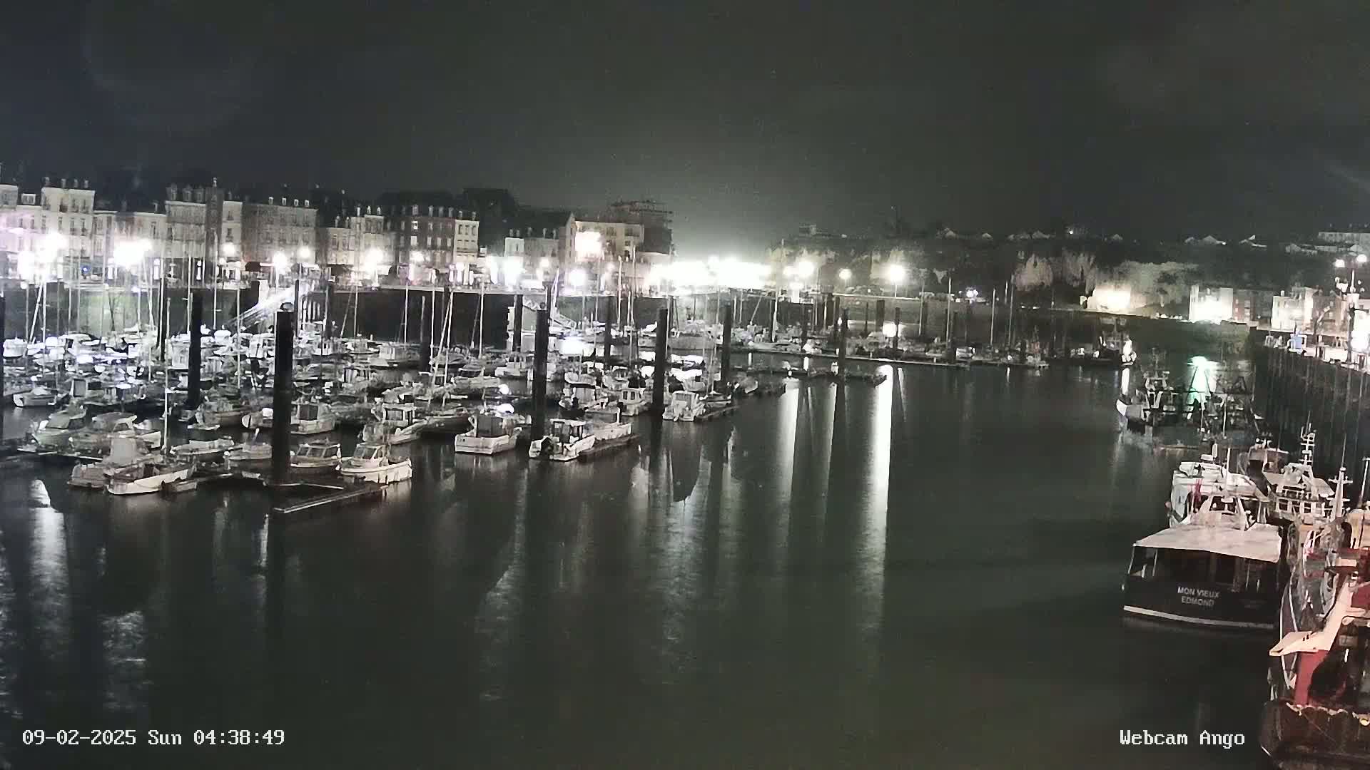A nighttime view of a harbor filled with numerous boats docked along a waterfront lined with buildings under a dark sky.
