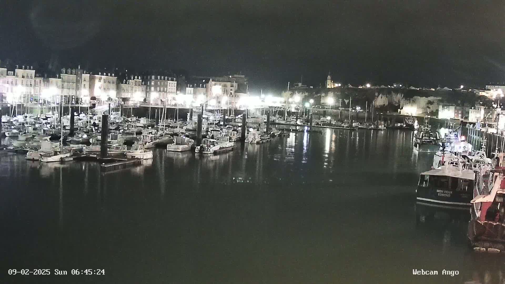 A nighttime view of a harbor filled with numerous boats docked alongside a waterfront lined with buildings.
