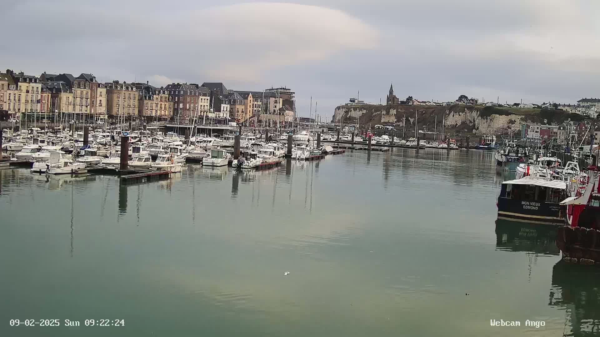 A harbor filled with numerous boats is situated in front of a town of multi-story buildings, all under an overcast sky.
