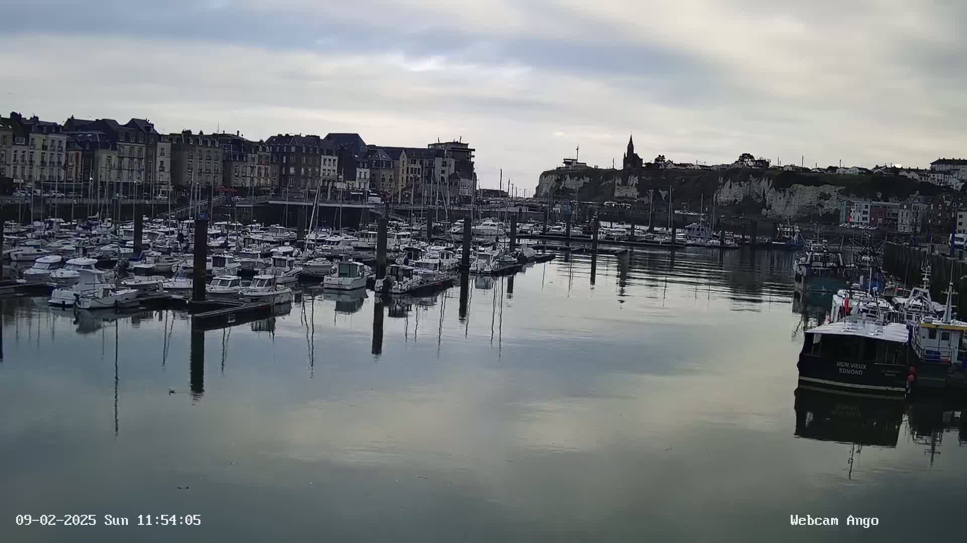 A calm harbor filled with numerous boats is situated in front of a town built along a cliffside under an overcast sky.