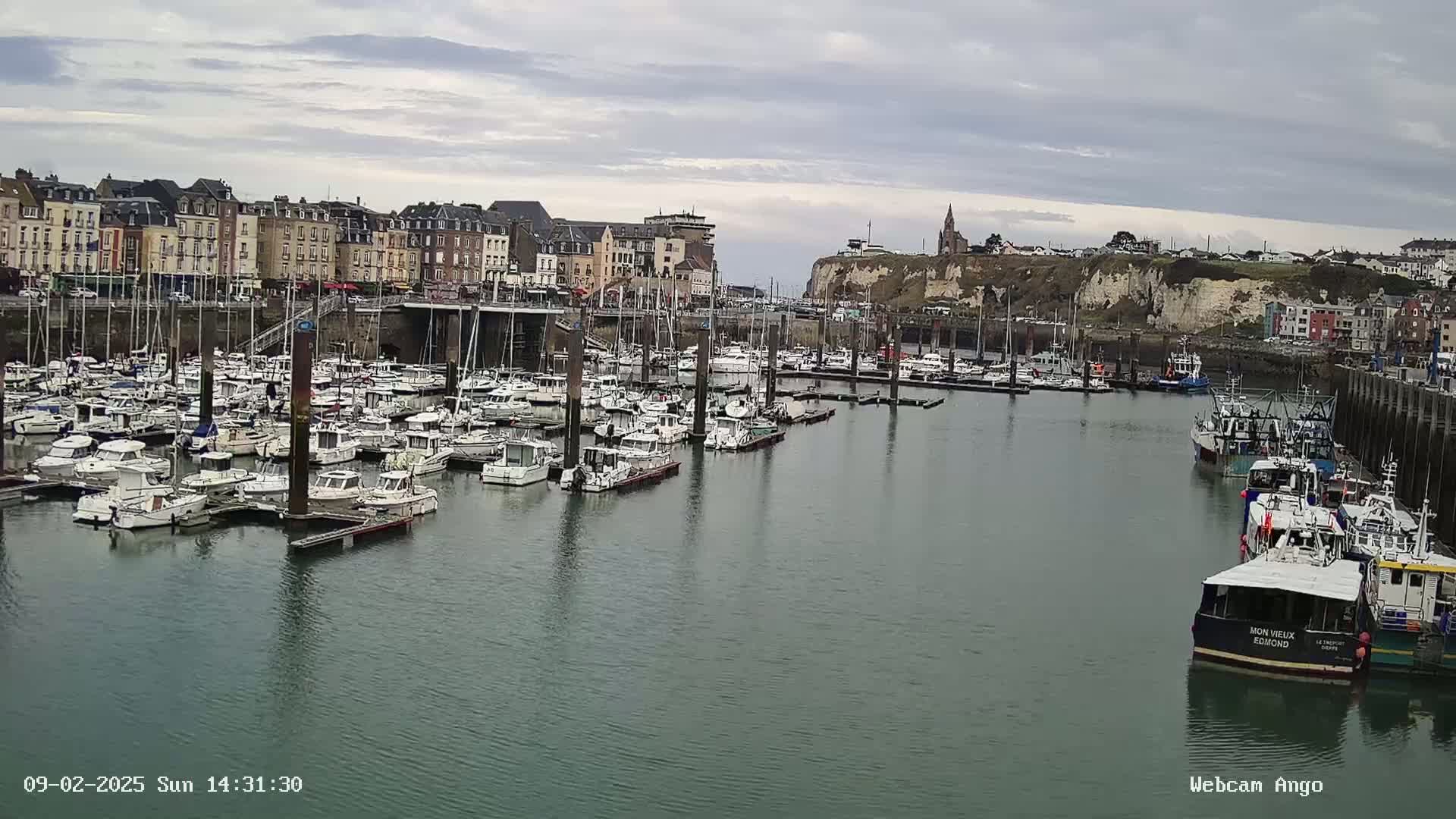 A harbor filled with numerous boats is situated in front of a town featuring multi-story buildings under a cloudy sky.