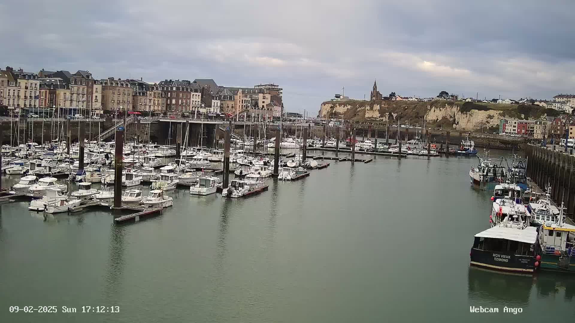 A harbor filled with numerous boats is situated in front of a town with buildings along a cliff under an overcast sky.