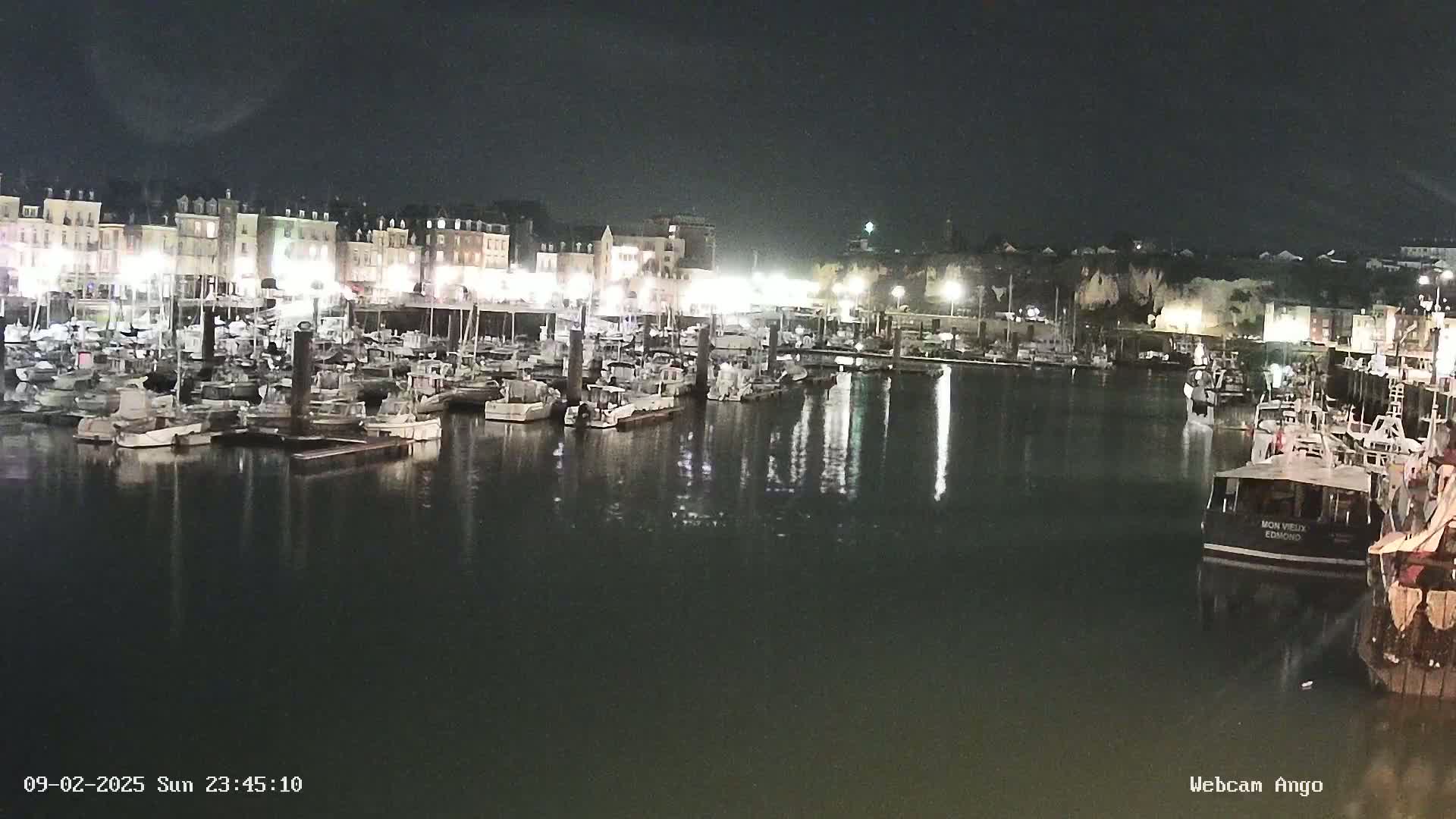 A nighttime view of a harbor filled with numerous boats docked along a waterfront lined with buildings under a dark sky.