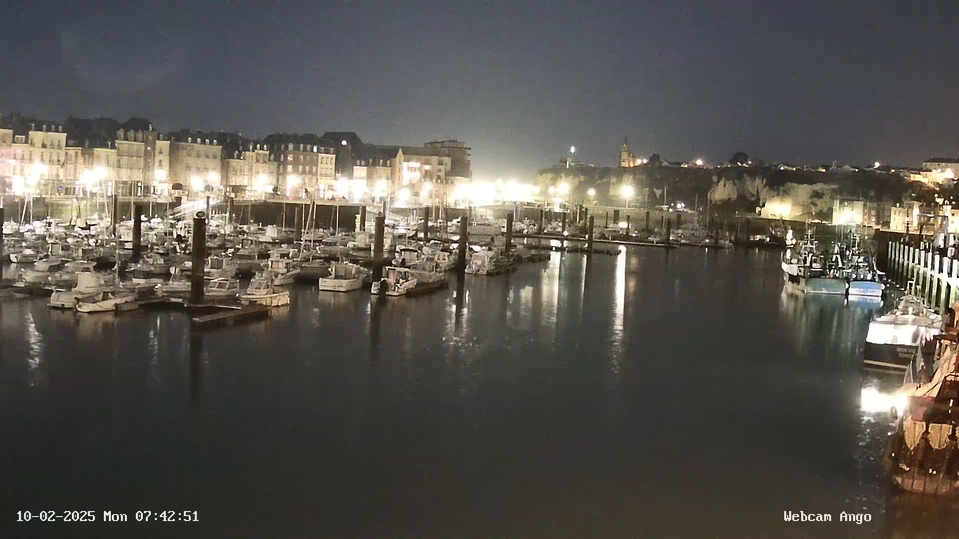 A nighttime view of a harbor filled with many boats docked along a waterfront lined with buildings under a clear, dark sky.