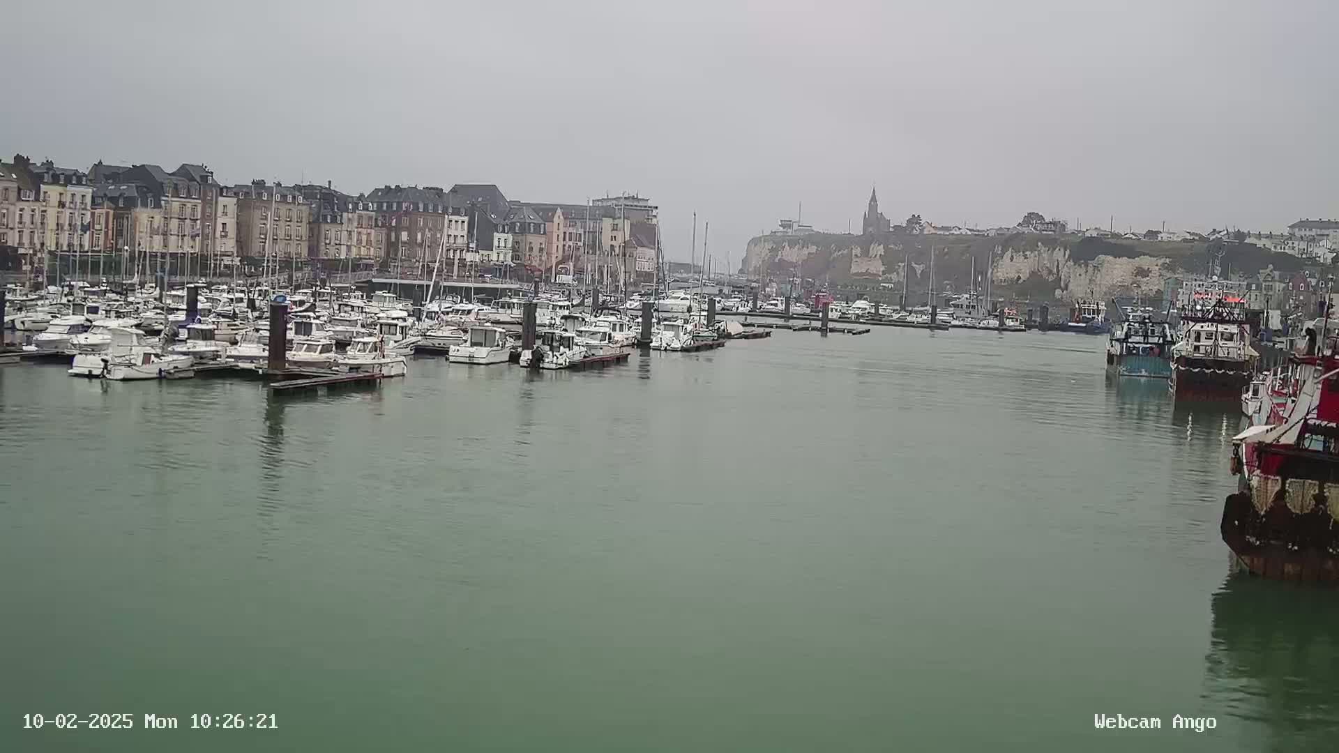 A harbor filled with numerous boats and yachts is situated in front of a town with buildings lining the waterfront under an overcast sky.