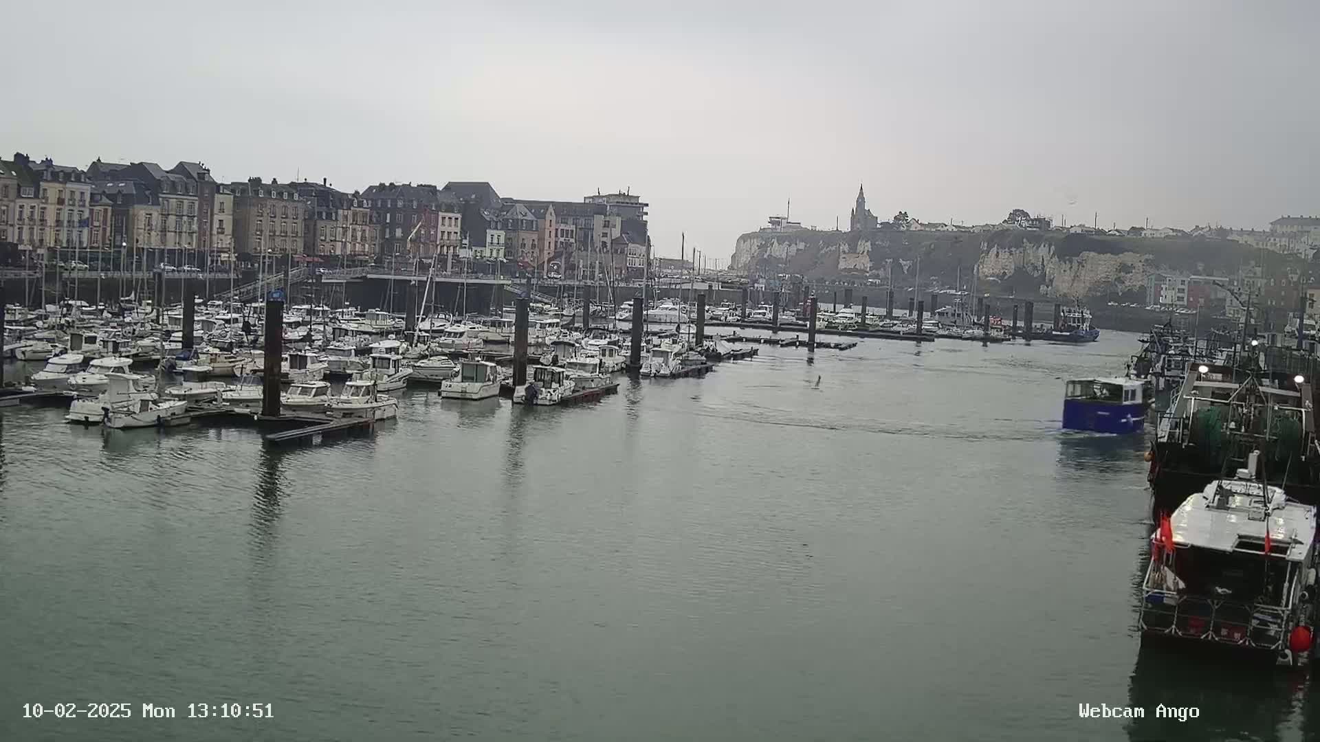 A harbor filled with numerous boats and yachts is situated in front of a town with multi-story buildings under an overcast sky.