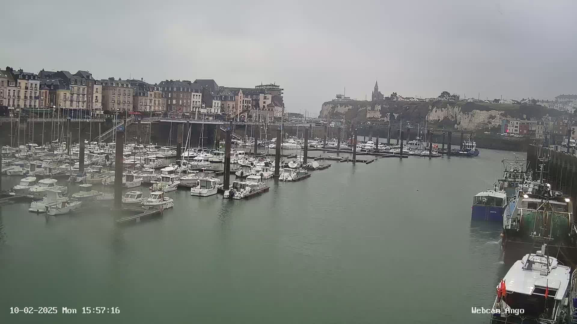 A harbor filled with numerous boats is situated near a town under an overcast sky.