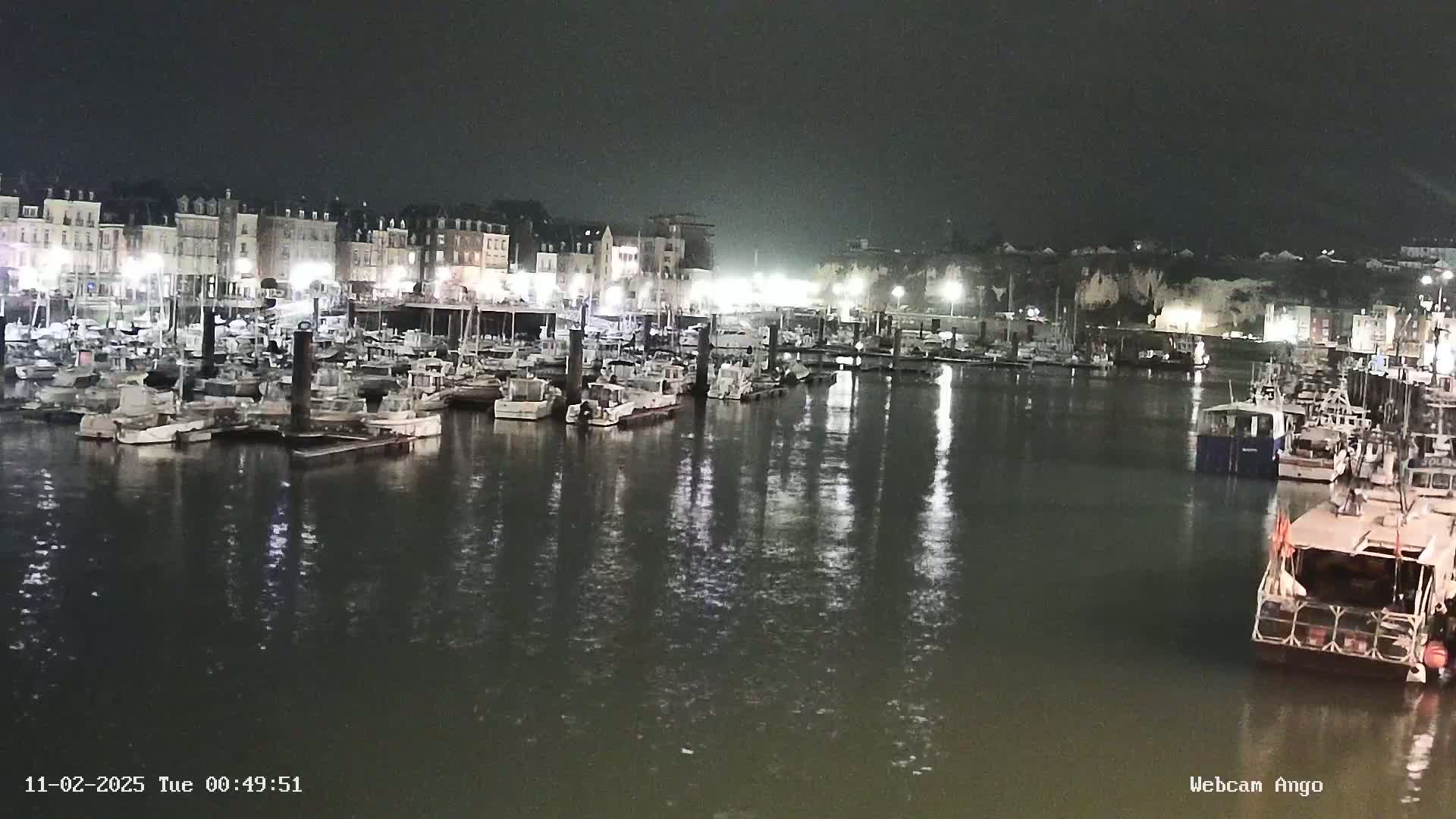 Numerous boats are moored in a harbor at night, illuminated by lights from buildings along the waterfront.