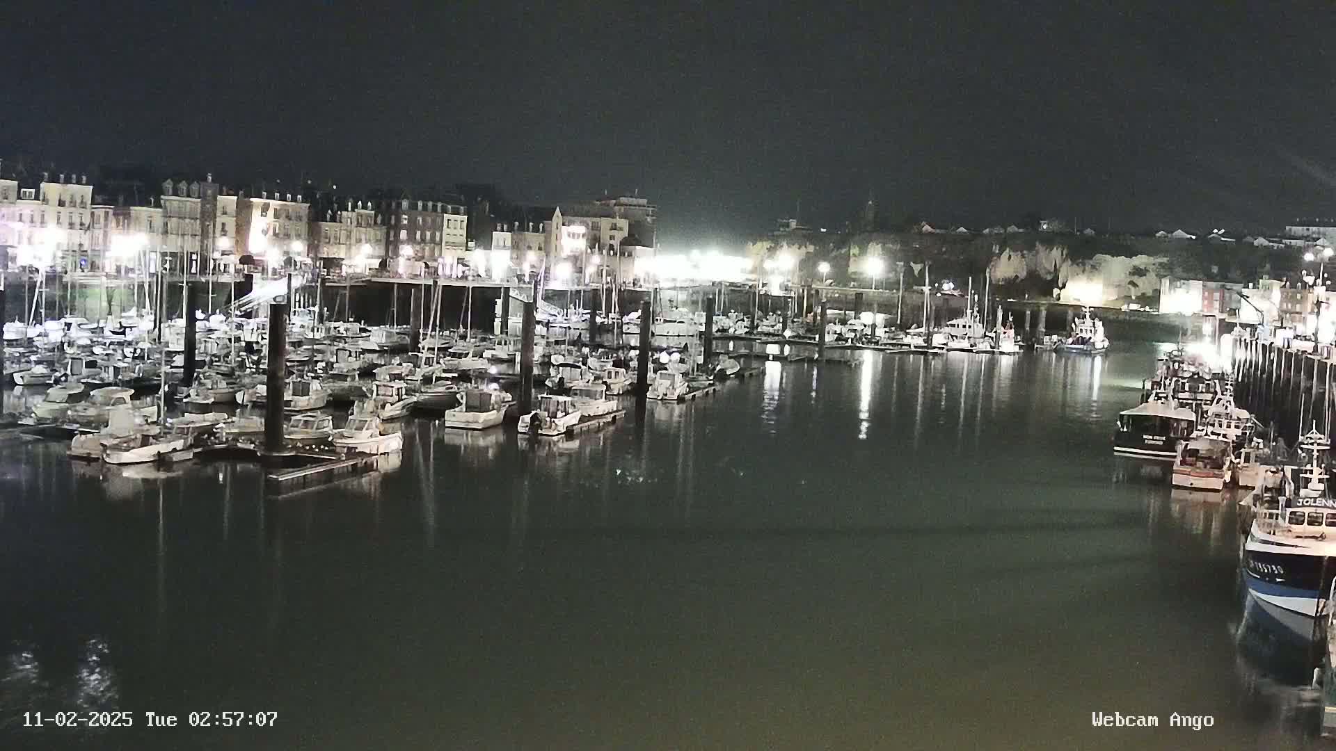 Many boats are moored in a harbor at night, with buildings illuminated along the waterfront.