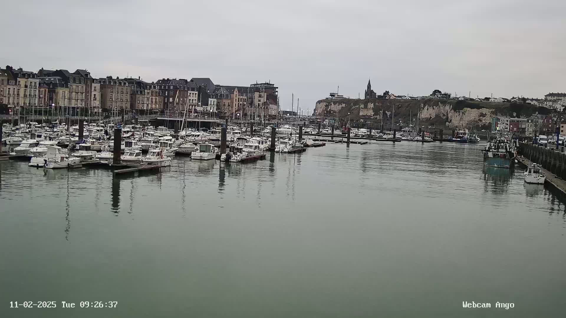 A calm harbor filled with numerous boats is situated in front of a city skyline on an overcast day.