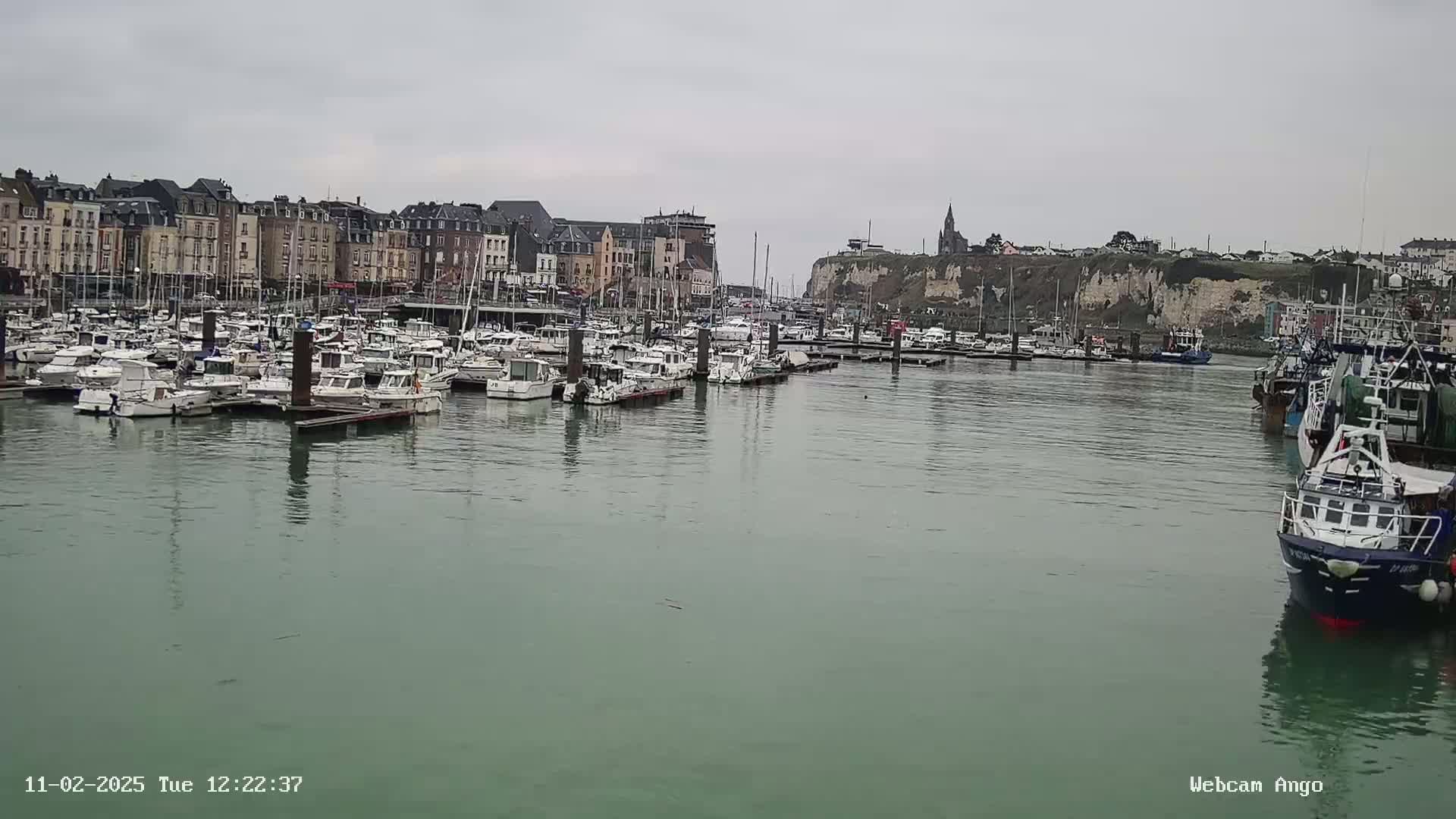 A harbor filled with numerous boats and yachts is situated in front of a town with multi-story buildings, under an overcast sky.
