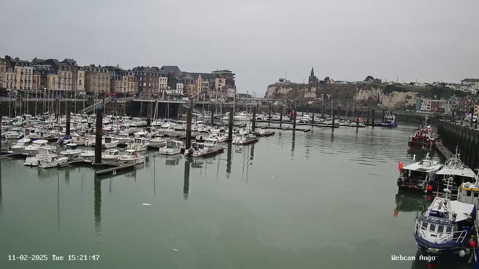 A harbor filled with numerous docked boats is situated in front of a town built along a cliffside, under an overcast sky.