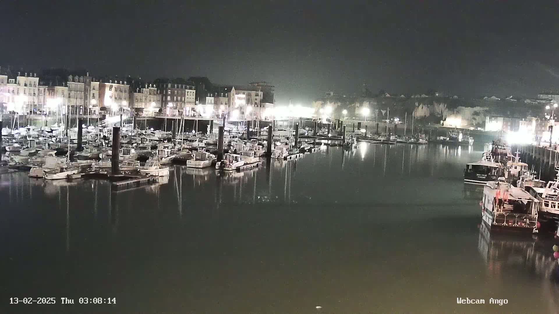A nighttime view of a harbor filled with numerous boats docked alongside a waterfront of buildings under a hazy sky.