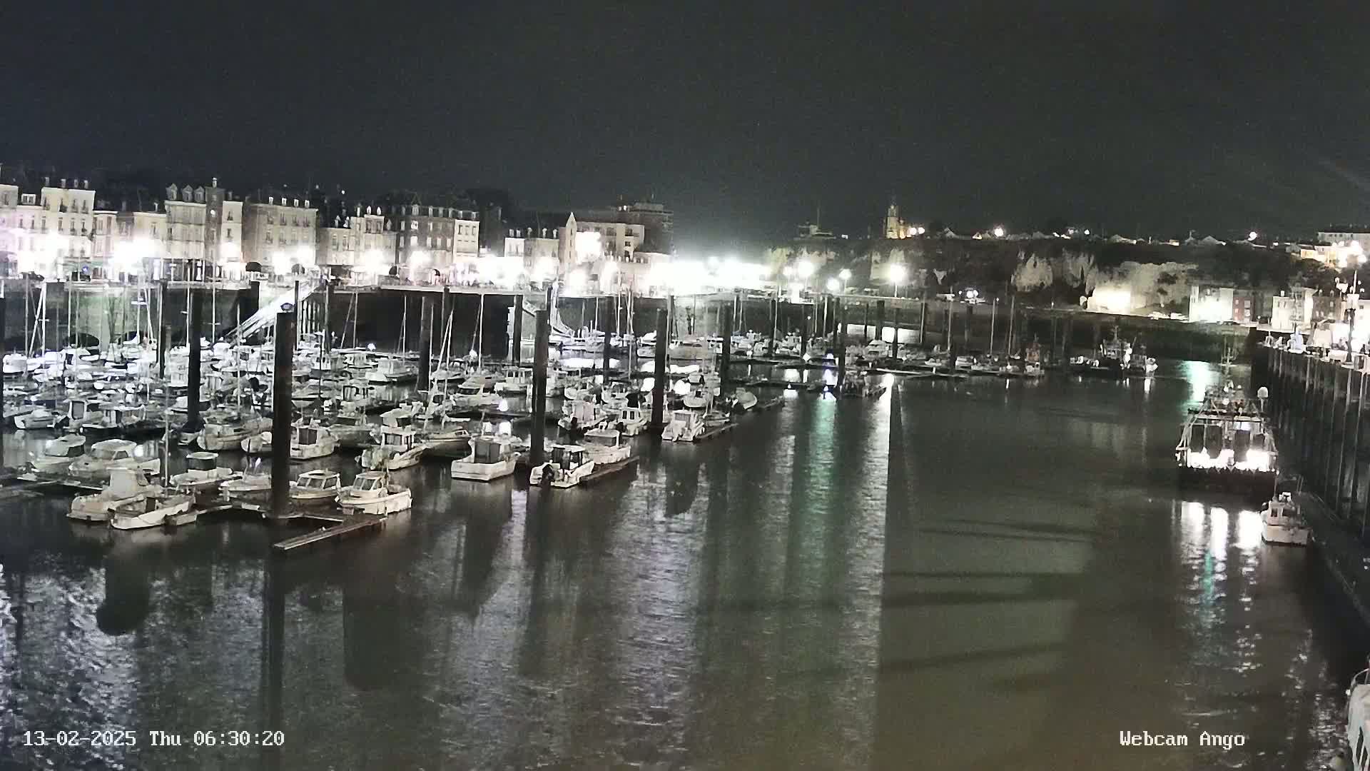 A nighttime view of a marina filled with numerous boats docked alongside a waterfront city under a clear, dark sky.