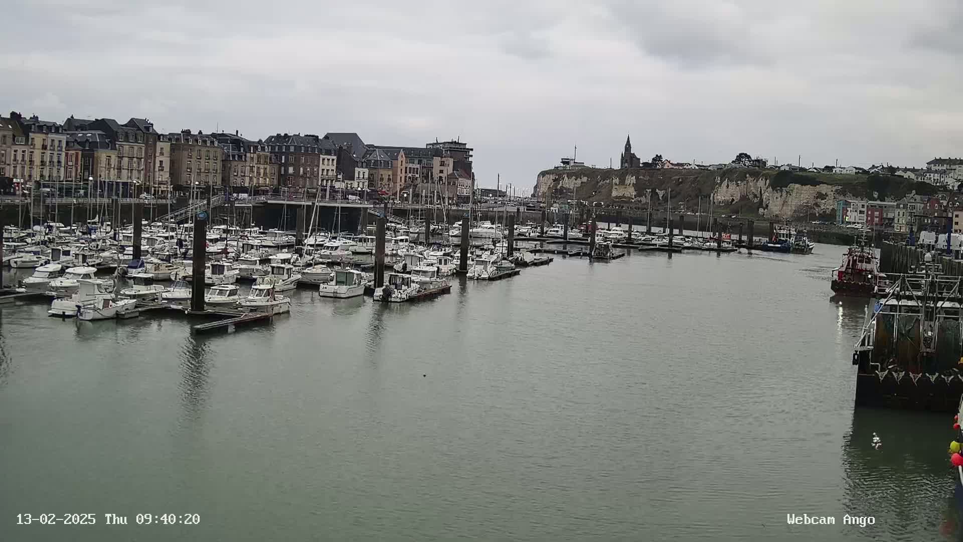 A harbor filled with numerous boats is situated in front of a town with multi-story buildings under an overcast sky.